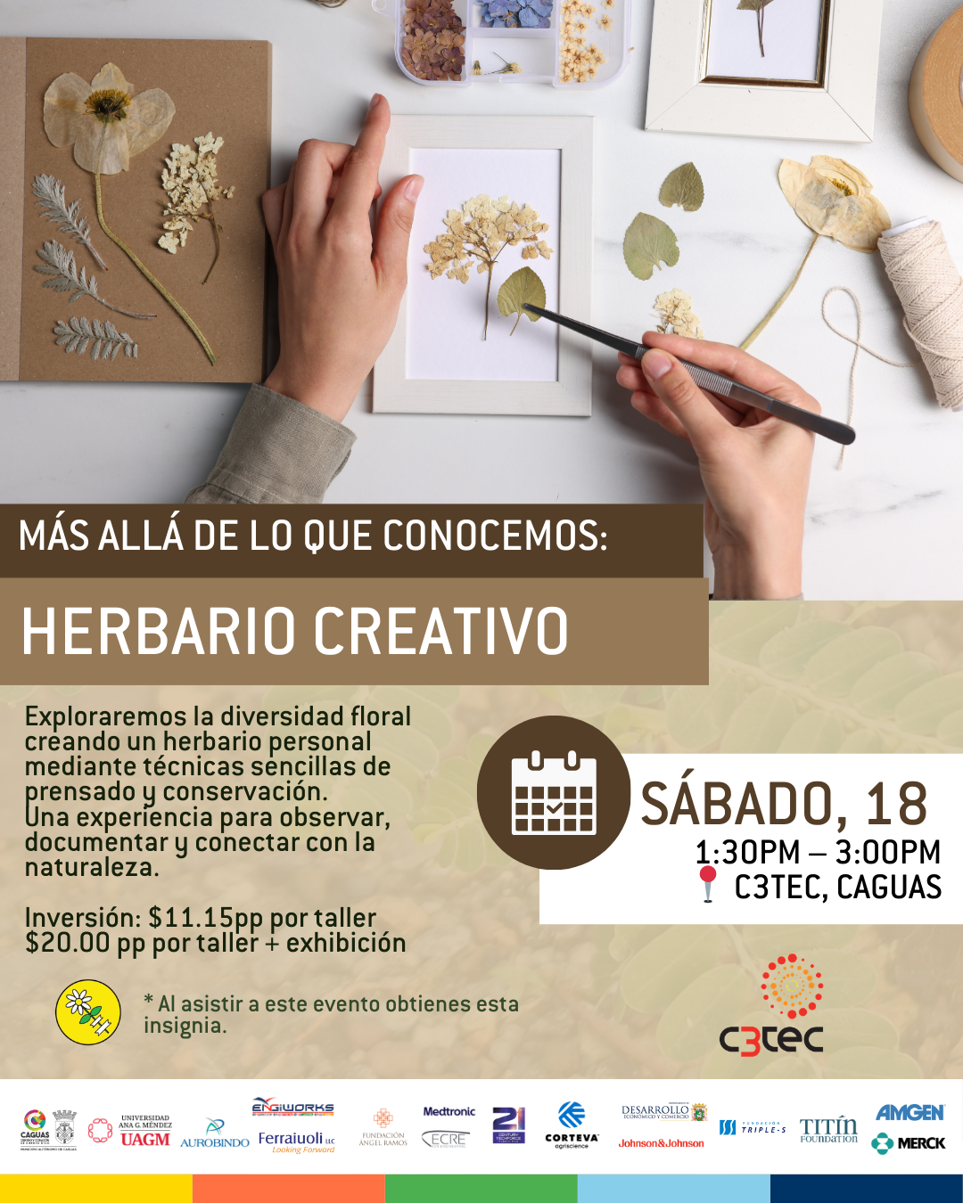 Taller Más Allá de lo que Conocemos: Más Allá de lo que Conocemos: Herbario Creativo | 18 de abril de 2026