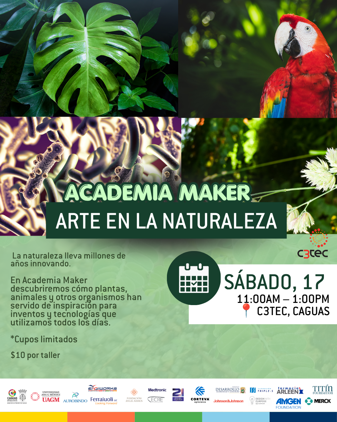 Taller Academia Maker: Arte en la Naturaleza | 17 de octubre de 2026