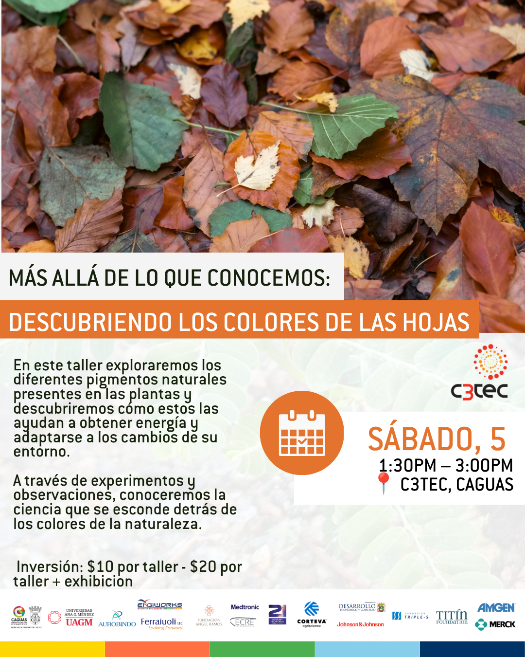 Taller Más Allá de lo que Conocemos: Descubriendo los colores de las hojas | 5 de Septiembre de 2026