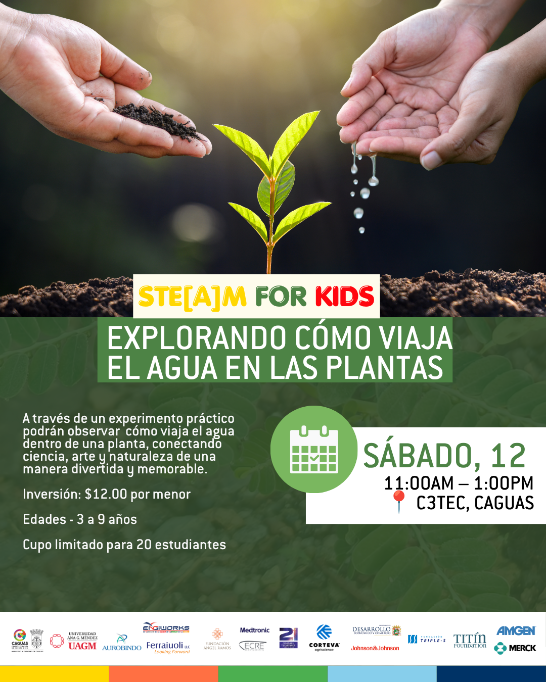 Taller STE[A]M For Kids: Explorando cómo viaja el agua en las plantas| 12 de septiembre de 2026