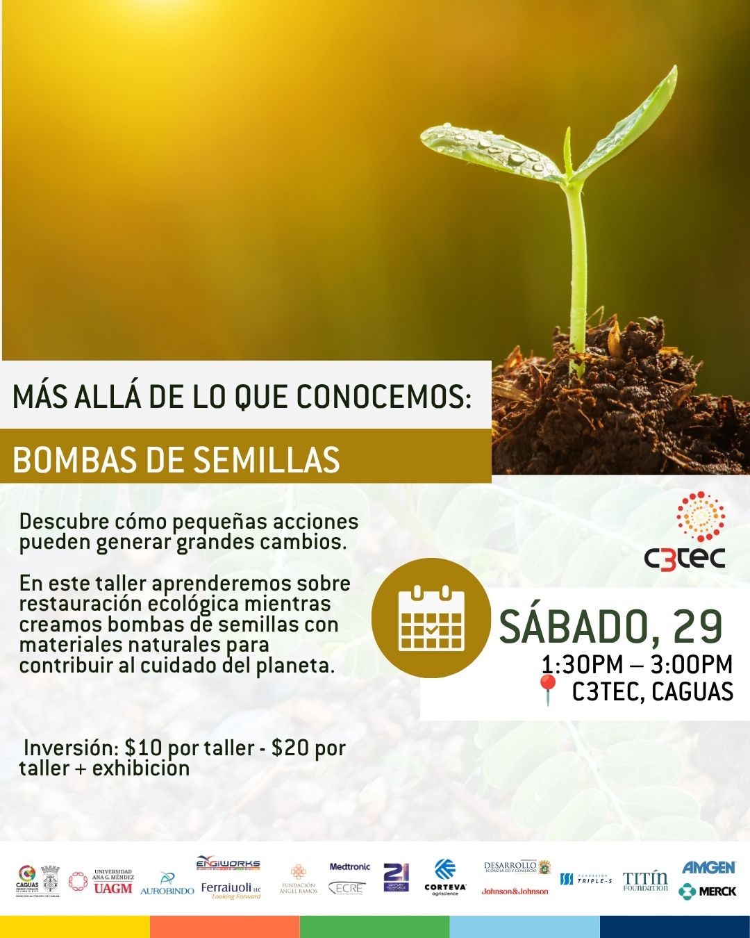 Taller Más Allá de lo que Conocemos: Bombas de Semillas | 29 de Agosto de 2026