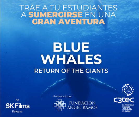 Documental Blue Whales: Return of the Giants 3D