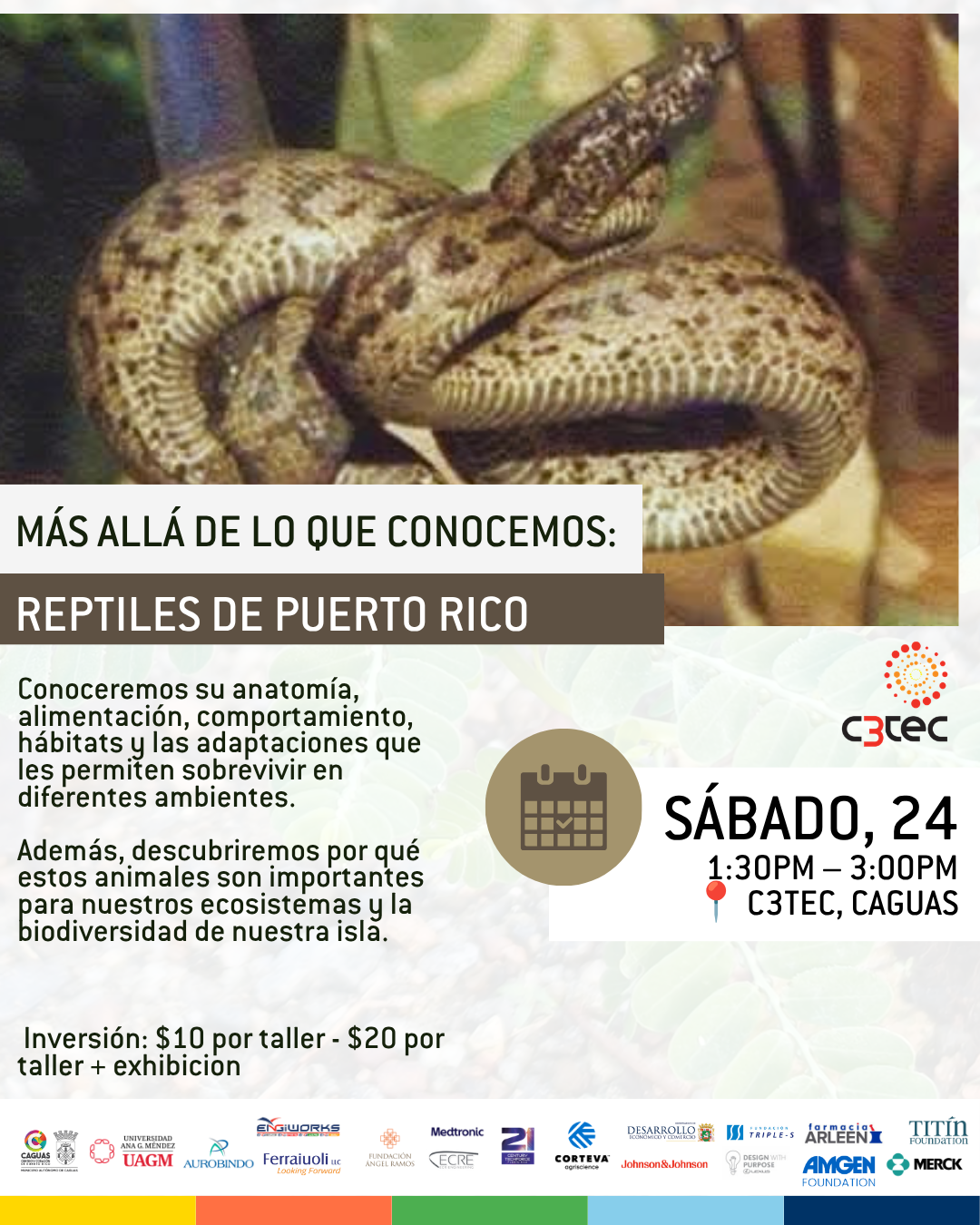 Taller Más Allá de lo que Conocemos: Reptiles de Puerto Rico| 24 de Octubre de 2026