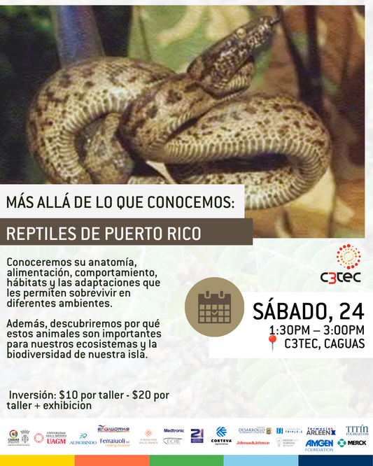 Taller Más Allá de lo que Conocemos: Reptiles de Puerto Rico| 24 de Octubre de 2026